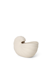 Ocean-Inspired Elegance for Your Home