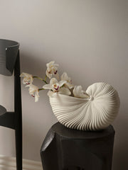 Ocean-Inspired Elegance for Your Home