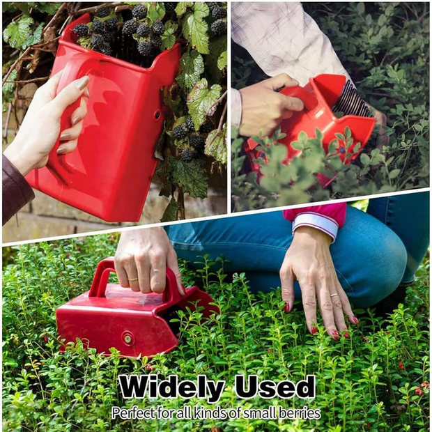 Turbo Berry Picker Scoop – Grab More Berries in Less Time, Thorn-Free!