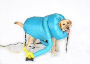 🐶 Dog Drying Suit｜Warm, Fluffy &amp; Stress-Free Bath Time! 🛁✨