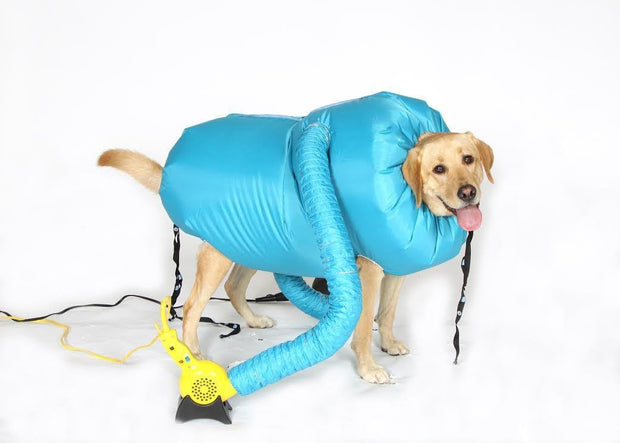 🐶 Dog Drying Suit｜Warm, Fluffy &amp; Stress-Free Bath Time! 🛁✨