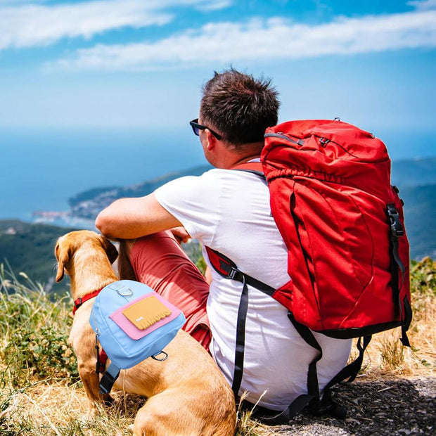 Let Your Dog Carry the Fun – Waterproof Harness Backpack for Walks, Hikes & Zoomies!