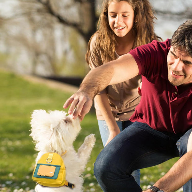 Let Your Dog Carry the Fun – Waterproof Harness Backpack for Walks, Hikes & Zoomies!