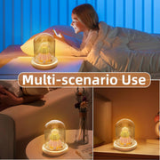 One-of-a-Kind Sea Shell Night Light – Create Your Own Magical Glow with Easy DIY Setup