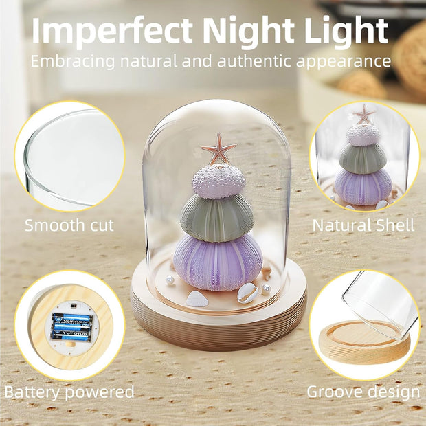One-of-a-Kind Sea Shell Night Light – Create Your Own Magical Glow with Easy DIY Setup