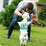Let Your Dog Carry the Fun – Waterproof Harness Backpack for Walks, Hikes & Zoomies!