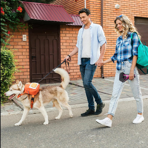 Let Your Dog Carry the Fun – Waterproof Harness Backpack for Walks, Hikes & Zoomies!