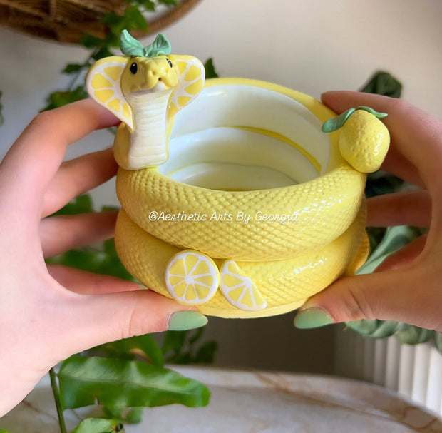 Planter, Lemon Cobra