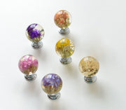 Eternal Blooms – Set of 6 Real Flower Resin Knobs to Brighten Every Corner